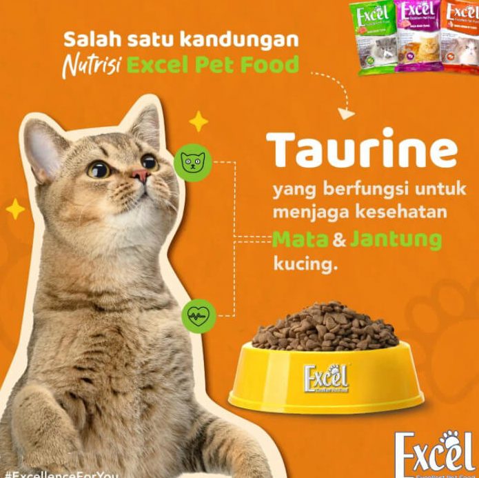 Nutrisi Terbaik Untuk Si Meong: Keistimewaan Makanan Kucing Excel! 1 nutrisi terbaik untuk si meong keistimewaan makanan kucing